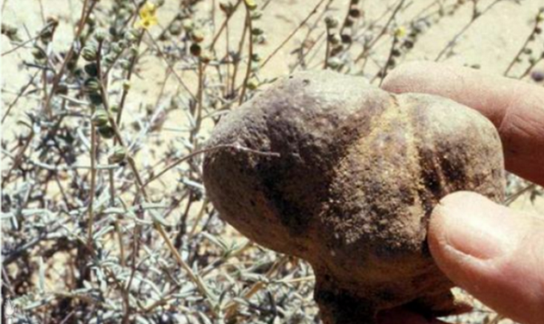 有個(gè)國家很小，卻足而讓人仰視，這便是以色列！